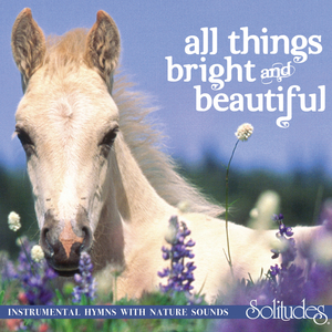 亚洲三级片在线看
